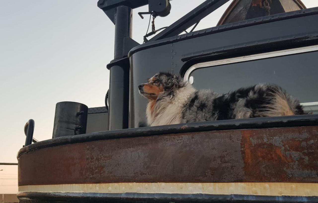 לינה וארוחת בוקר Diemerbrug Wheelhouse Euphrate Houseboat מראה חיצוני תמונה